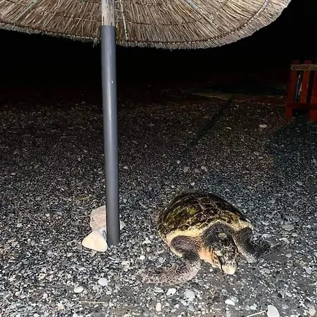 Achinos *1, Seaside, Between Ierapetra & Myrtos ! Gra Liyia